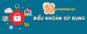 Giới thiệu tổng quan về điều khoản sử dụng tại Ngày Đẹp Nhất