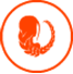 icon xử nữ