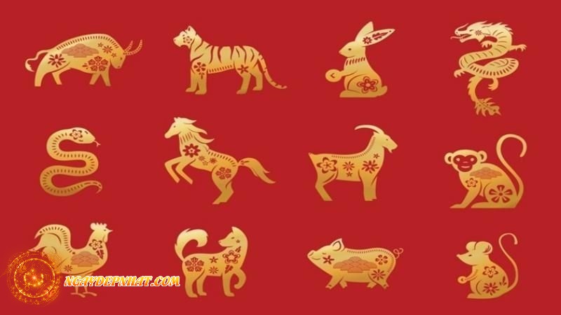 Số đẹp ngày 05/05/2025 theo tuổi - Gợi ý cho 12 con giáp
