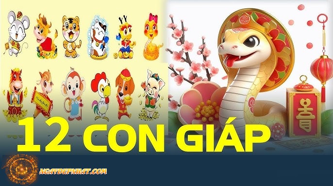 Số đẹp ngày 21/04/2025 theo tuổi - Gợi ý cho 12 con giáp