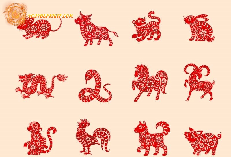 Số đẹp ngày 28/05/2025 theo tuổi - Gợi ý cho 12 con giáp