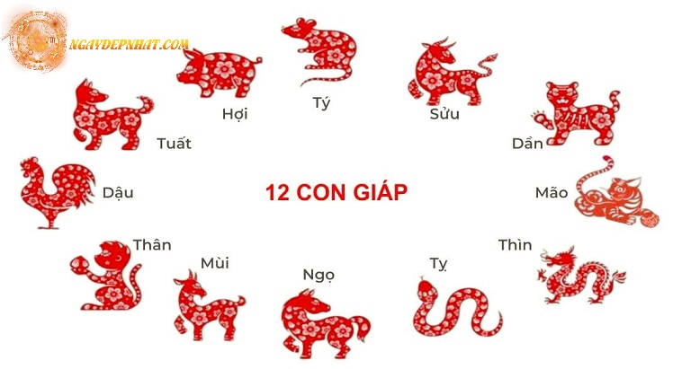 Tử vi 12 con giáp ngày 21/04/2025 - Tuổi Tuất