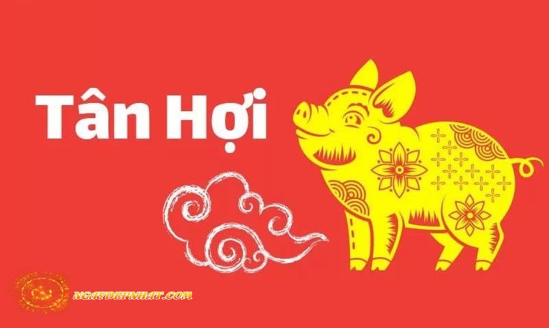 Tử Vi Tân Hợi (1971 - 2031)